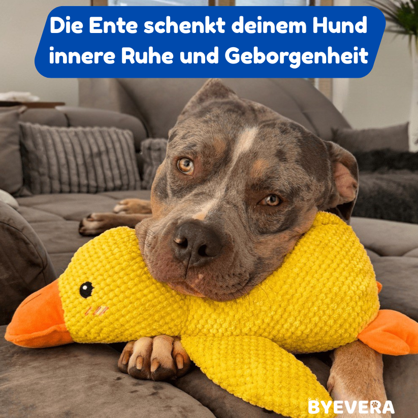 Anti-Stress-Ente